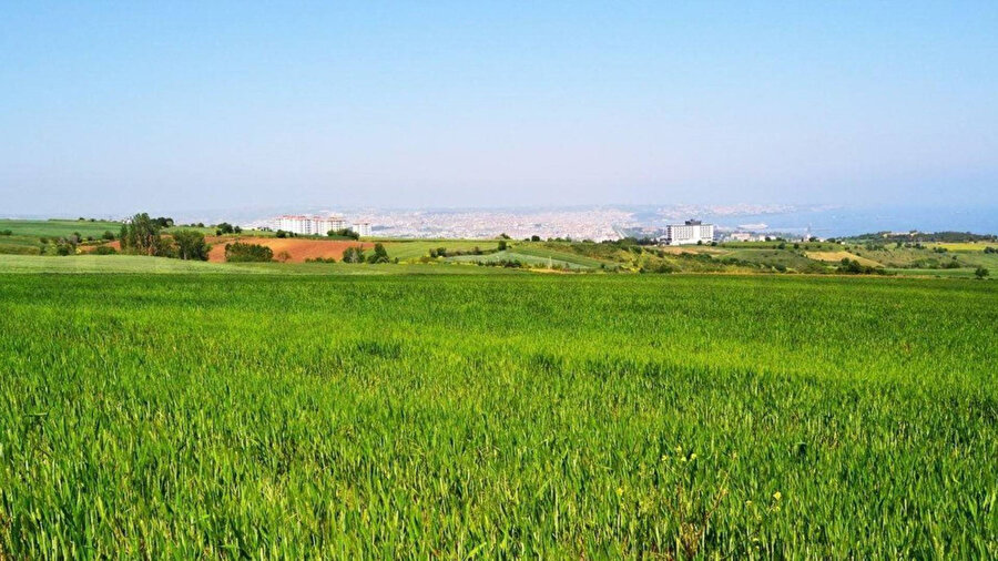 895 milyon liralık arsa ihalesi: İstanbul dahil 4 ilde dev arsa satışı... Resmi Gazete’de yayımlandı