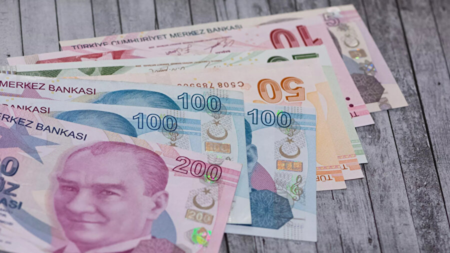 Türk lirası banknotlarının payı