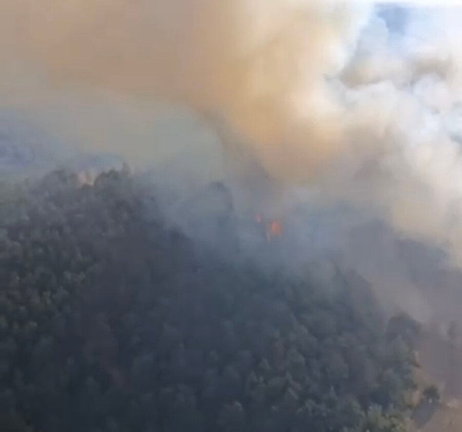 Balıkesir’de orman yangını