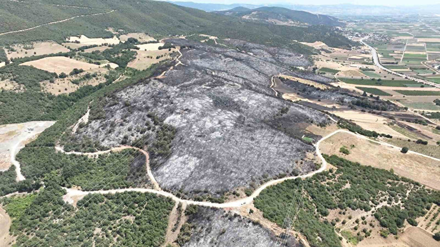 Orman yangınlarına karşı önlemler artıyor: O ilde ormanlara giriş yasaklandı