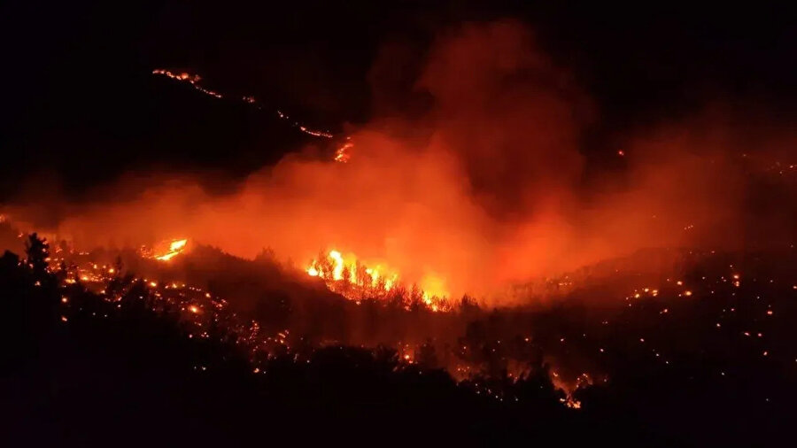 Hatay'da orman yangını: Samandağ Çanakoluk ve Tomruksuyu bölgesinde yangın çıktı