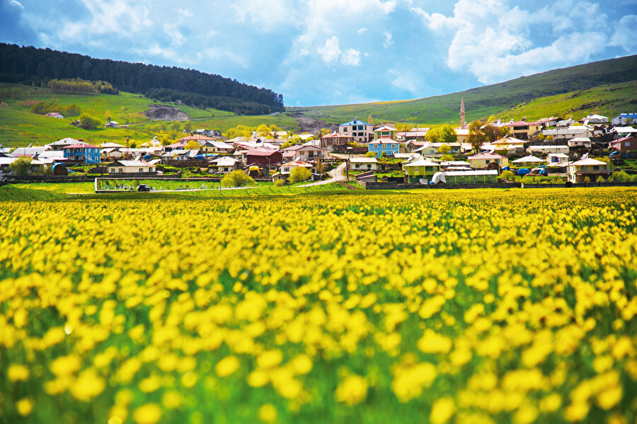 Orası artık köy değil... Mahalle!