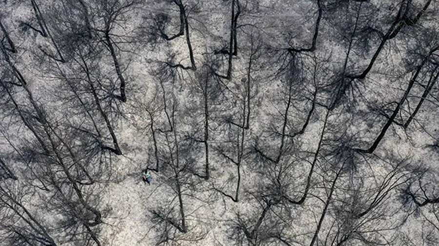 ​İzmir'de toplam yanan bölge Buca'nın iki katı kadar