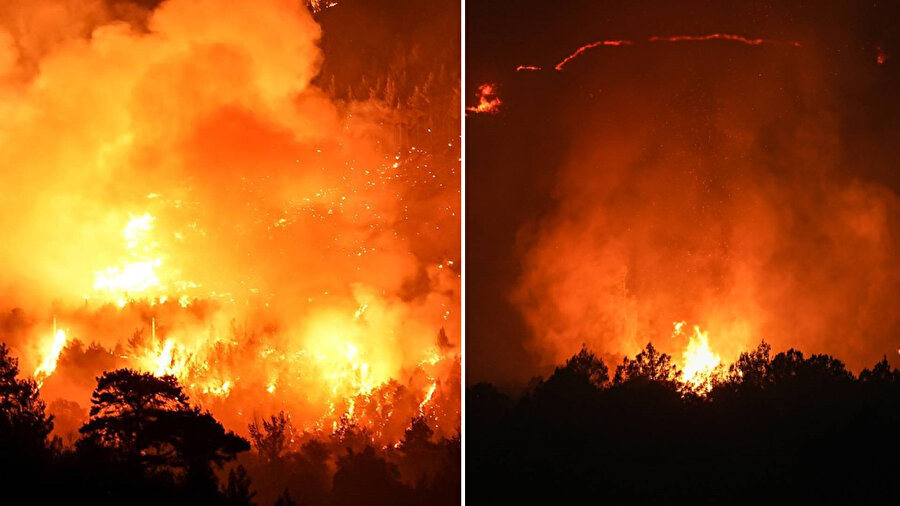 ​Bursa-Balıkesir sınırında orman yangını