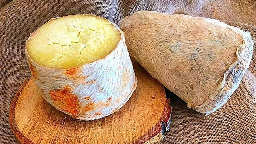 Divle Obruk Peyniri