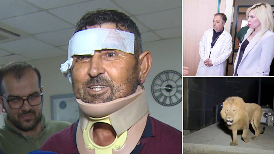 Aslan saldırısına uğrayan adam taburcu oldu.