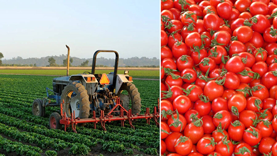 Ticaret ​Bakanlığı harekete geçti: Organik ürün fırsatçılarına karşı tedbir