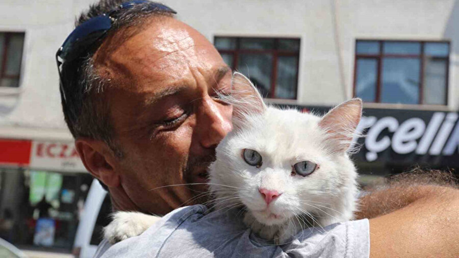 Kayıp kedisini bulduğu an yere yığıldı: 'Bana deli diyorlar'