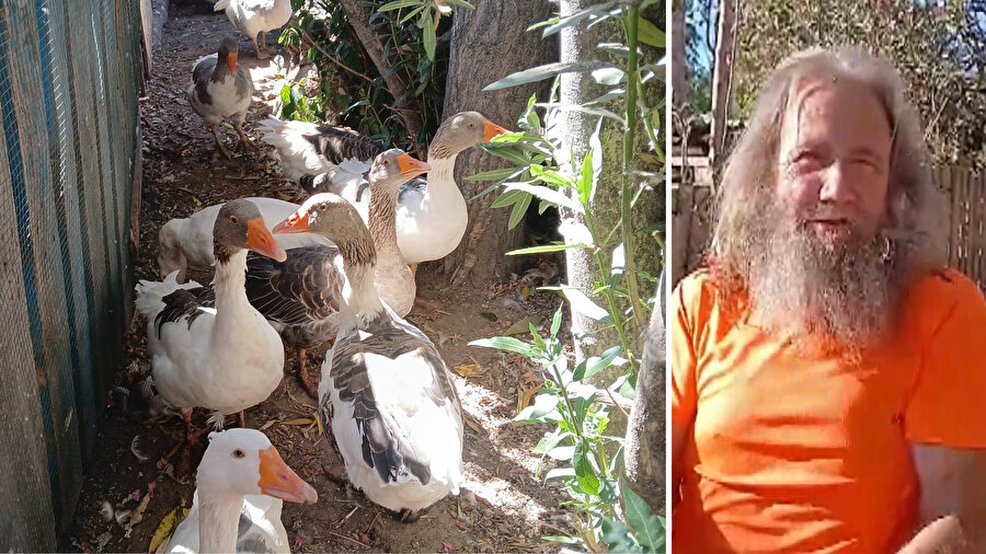 Kazlar ve sahipleri Mehmet Keşniş 