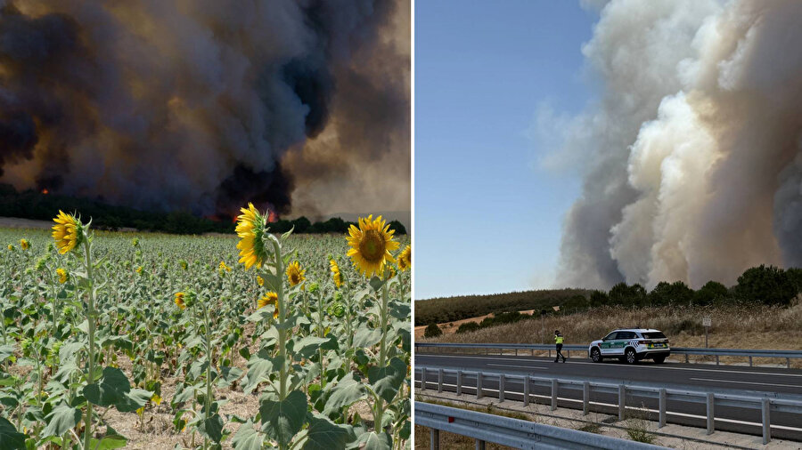 Orman yangınlarıyla mücadele: Yangını nedeniyle otoyol kapatıldı