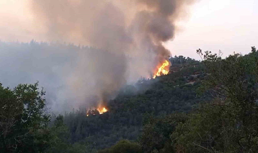 Altıeylül’deki orman yangınına müdahale sürüyor