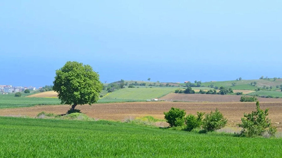 ​Arsası olanlar dikkat! Resmi Gazete'de yayımlandı: 1 Eylül'de başlayacak