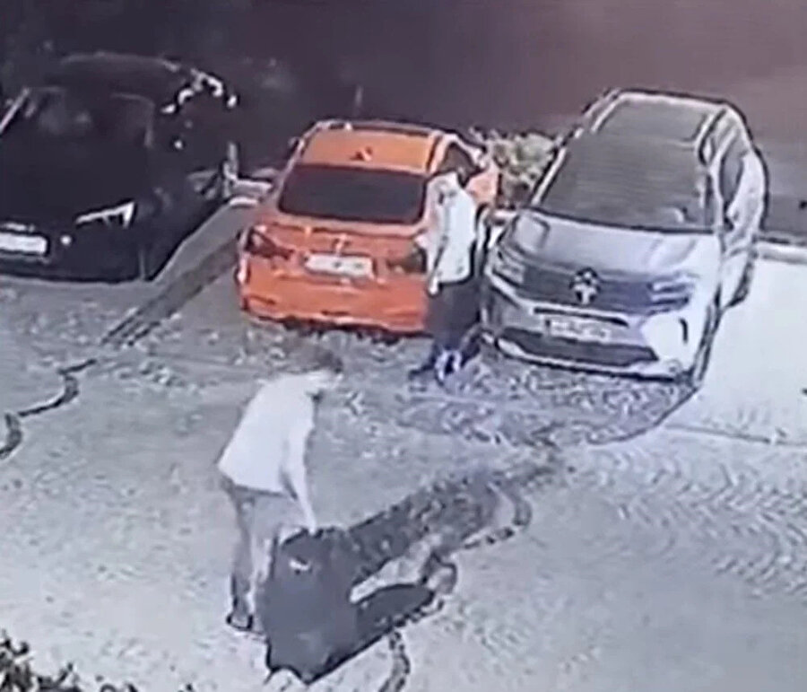 Ayşe Tokyaz cinayeti