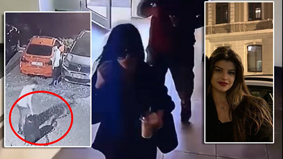 Ayşe Tokyaz cinayeti