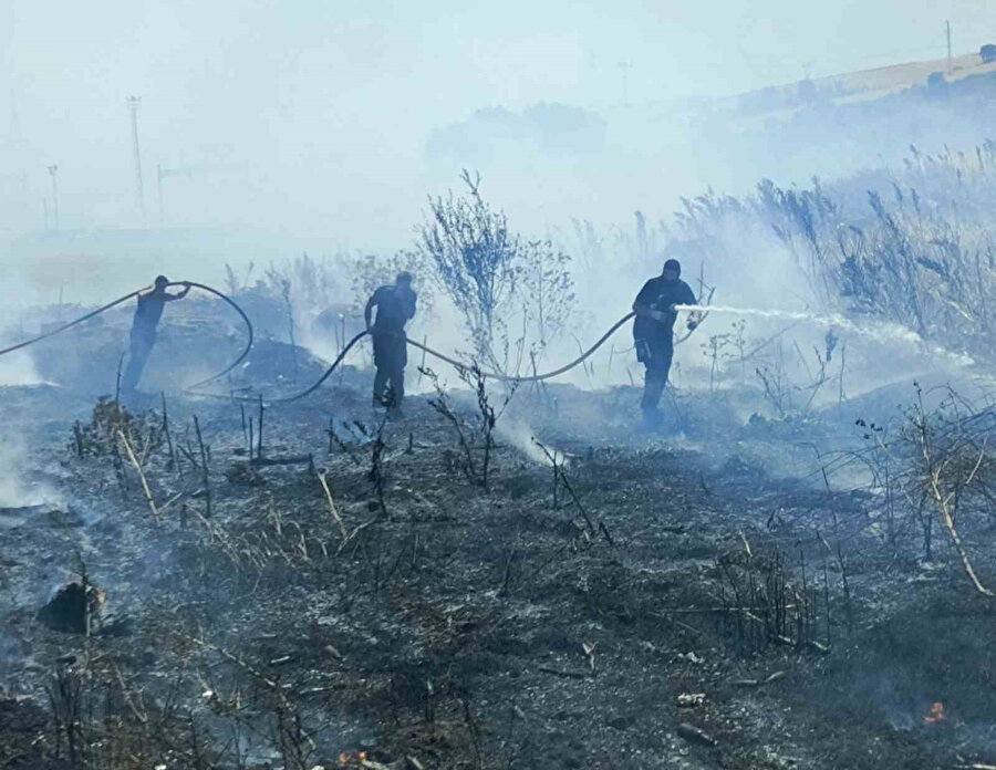 Bandırma-Bursa karayolunda arazi yangını kontrol altına alındı