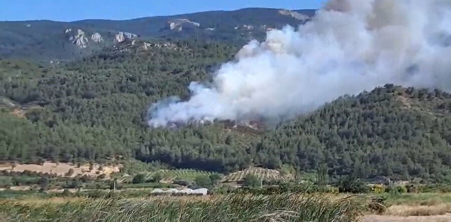 Sakarya’da orman yangını: Ekiplerin müdahalesi sürüyor