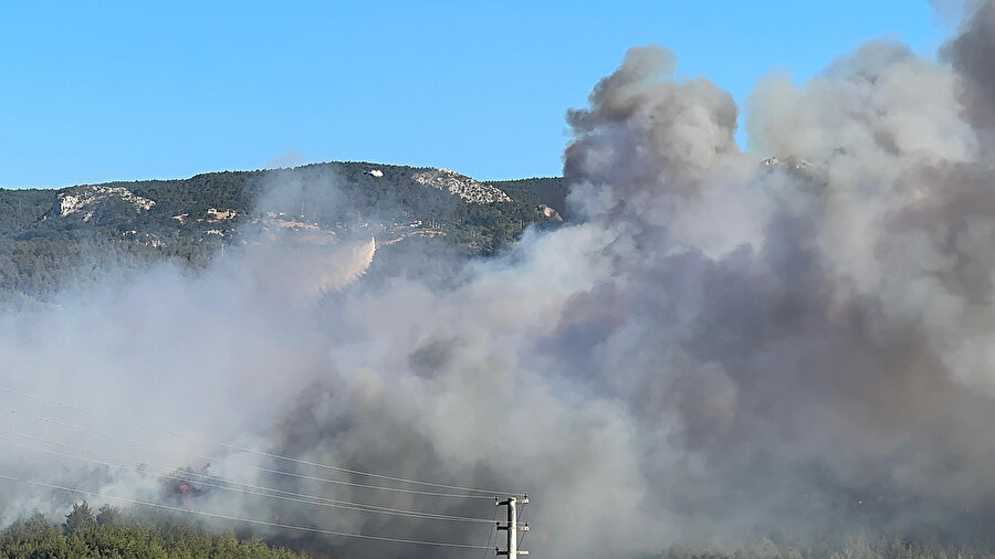 Sakarya'da orman yangını; alevler rüzgarın etkisiyle yayılıyor