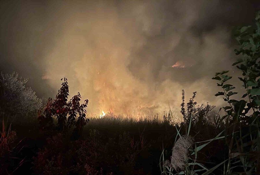 Sakarya’daki orman yangını tarım arazilerine sıçradı: Ekiplerin müdahalesi sürüyor