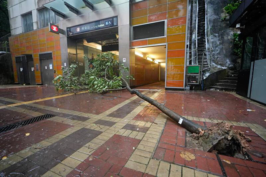 Wipha tayfunu Hong Kong