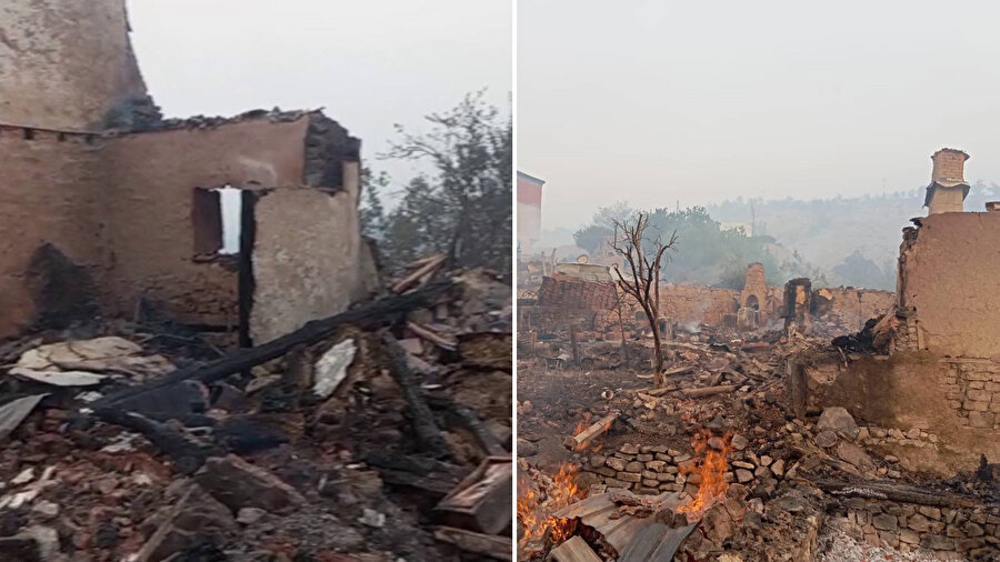 Hasar gün ağarınca ortaya çıktı: Sakarya'da orman yangını... Üç ev kül oldu