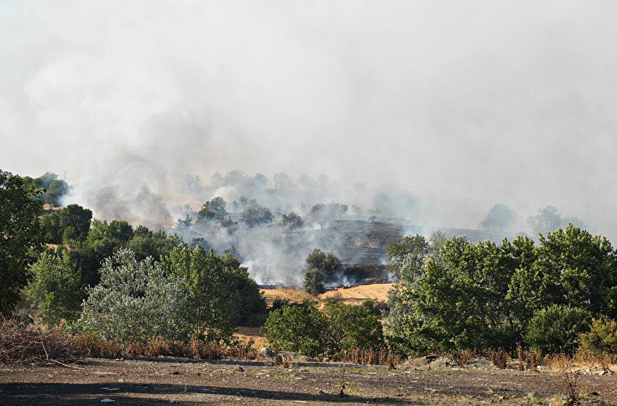 Bir yangın daha: Tekirdağ’da anız yangını ormanlık alana sıçradı