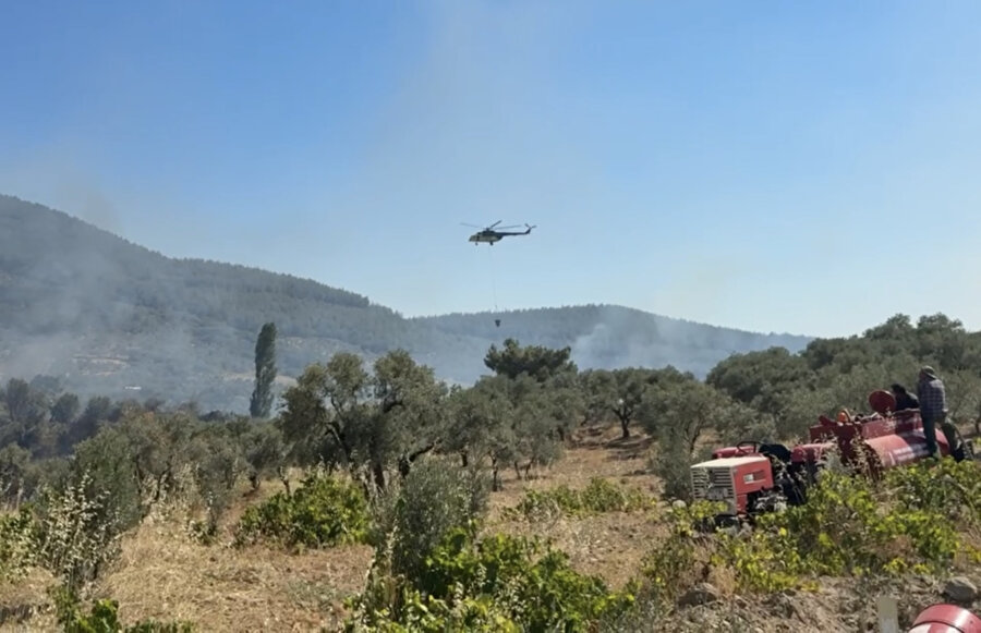 İzmir'de zirai alanda çıkan yangın kontrol altına alındı