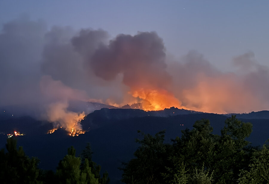 ESKİŞEHİR’DE 11 ŞEHİT  Eskişehir’deki orman yangınına müdahale sırasında alevlerin arasında kalan 11 orman işçisi şehit oldu