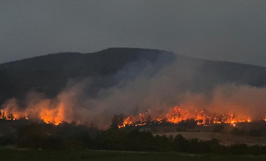 Sakarya’dan sevindiren haber: Orman yangını kısmen kontrol altına alındı