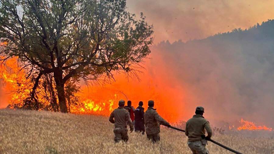 ​61 orman yangınıyla ilgili 4 kişi tutuklandı