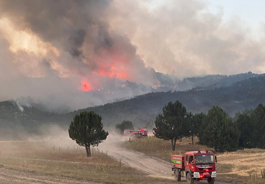 Bakan Memişoğlu'ndan, Eskişehir'deki orman yangınında yaralananların sağlık durumuna ilişkin açıklama