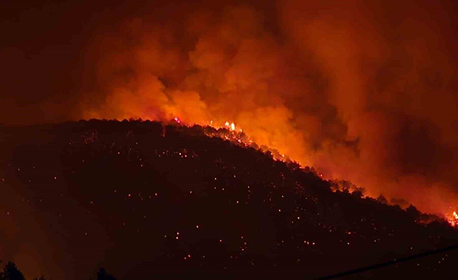 Denizli'de ormanlık ve mesirelik alanlara girişler ikinci duyuruya kadar yasaklandı