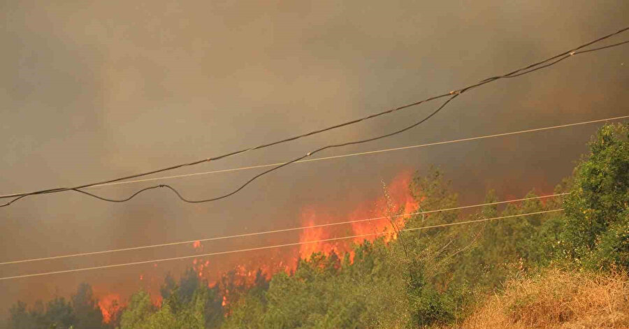 Karabük’te 29 saattir süren orman yangını yeniden alevlendi