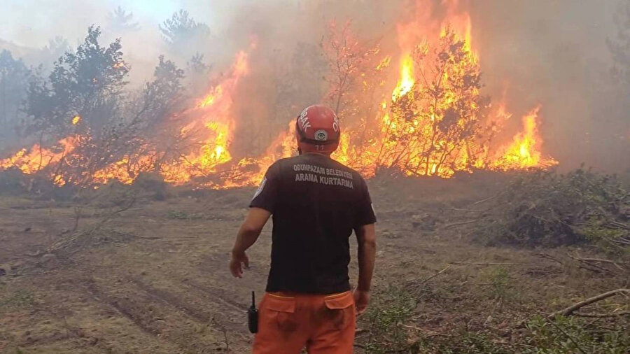 ​10 yangın şehidi: Eskişehir'deki orman yangınıyla ilgili soruşturma başlatıldı