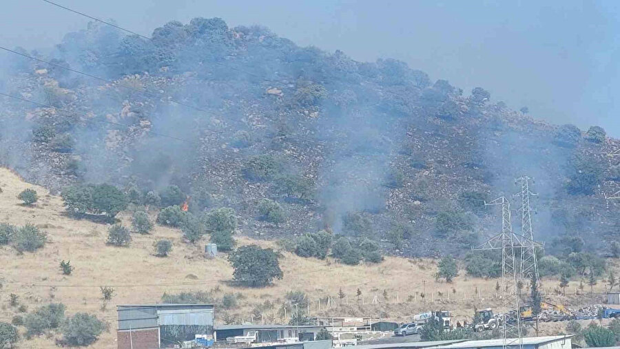 ​Dikili’de orman yangını: Çanakkale yolu ulaşıma kapatıldı