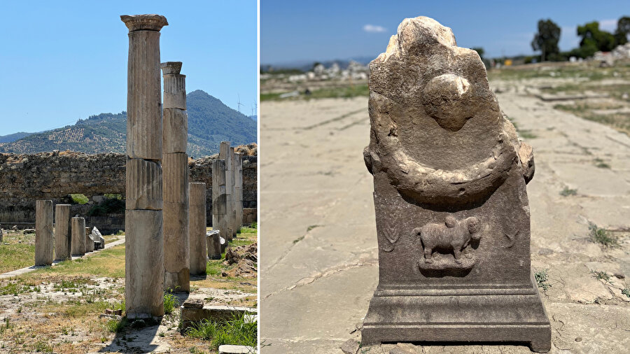 Magnesia ad Maeandrum / Menderes Magnesiası | Germencik, Aydın, Türkiye | Haziran 2024.