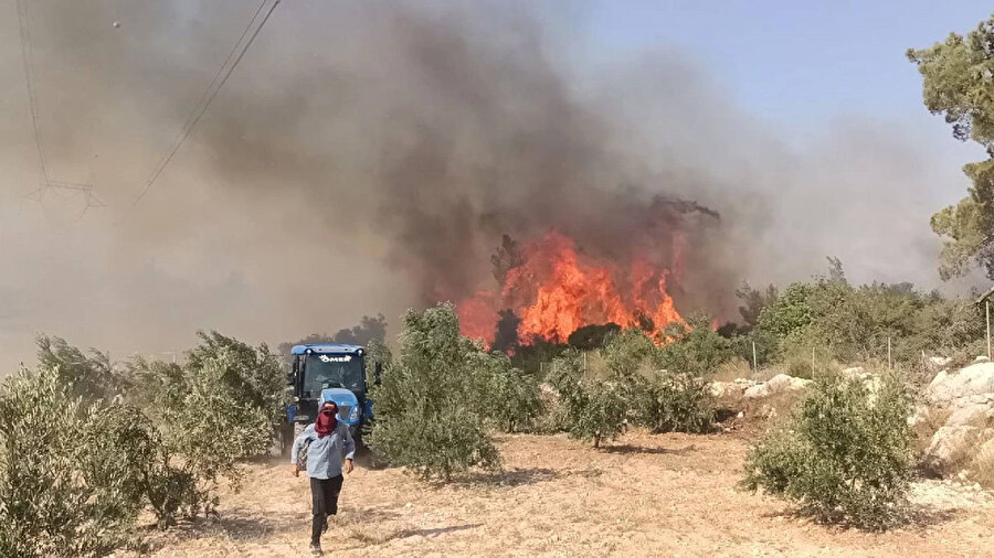 Mersin'in Silifke ilçesinde orman yangını çıktı.