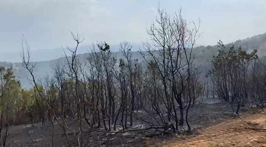 Bingöl’de iki farklı noktada orman yangını