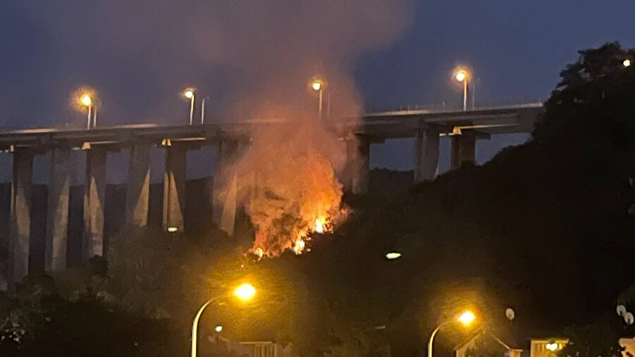 ​İstanbul Beykoz'da yangın: Çok sayıda itfaiye sevk edildi