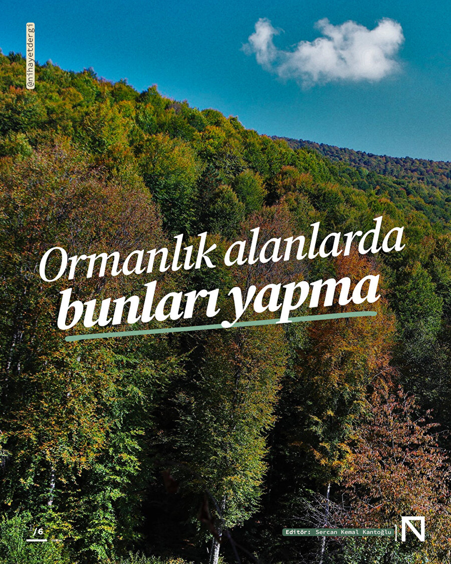 Ormanlık alanlarda bunları yapma