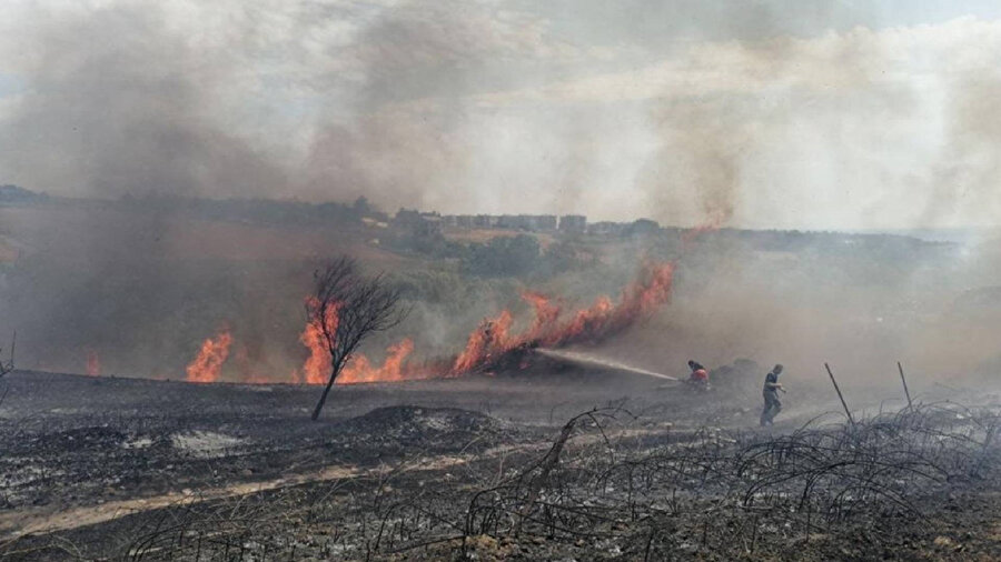 Büyükçekmece'de otluk alanda yangın çıktı.
