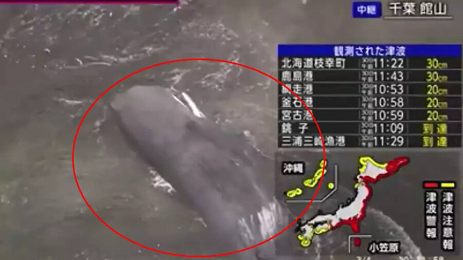 ​Japonya'ya tsunami uyarısı: Pasifik kıyısı boyunca 3 metreye kadar ulaşabilir