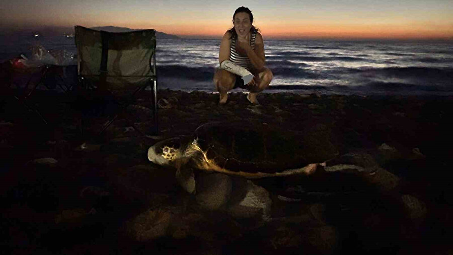 Caretta caretta