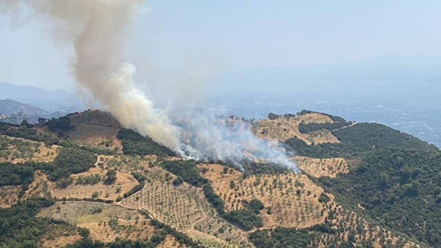 ​Kayınpederine kızan gelin tarım arazisini yaktı.