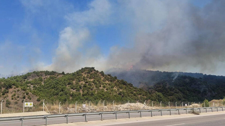 ​Tokat'ta orman yangını