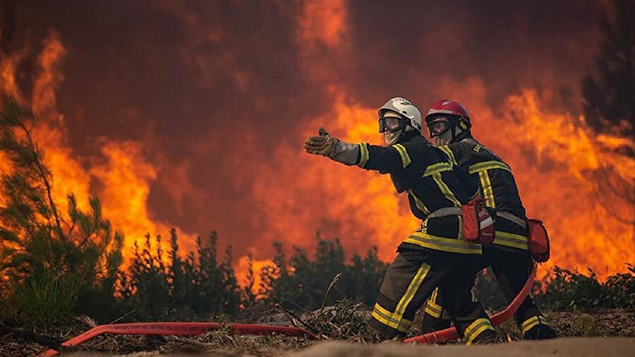 ​Fransa orman yangını