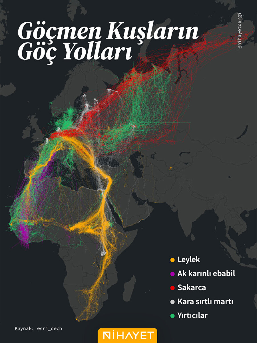 Binlerce kilometre, kıtalar arası rotalar ve kusursuz bir yön duygusu...