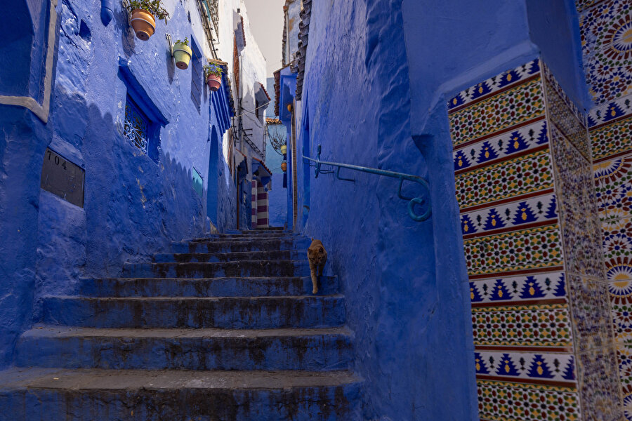 Şafşavan sokakları