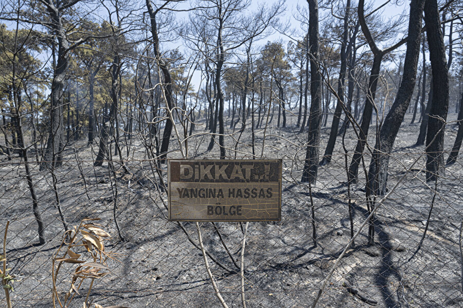 Çanakkale'deki yangın kontrol altına alındı