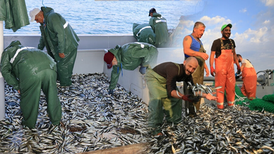 Balık av yasağı ne zaman bitiyor 2025? Tatlı su, gölet ve barajlarda balık sezonu açılış tarihi