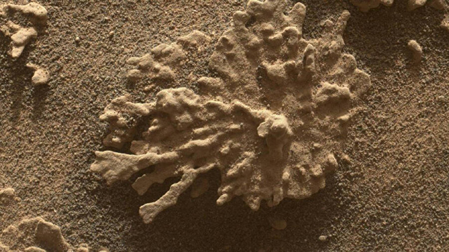 Mars